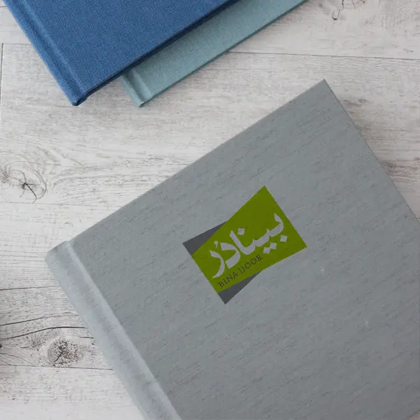 شرکت بینادر شرکت بینادر